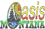 Natural gas and LP propane appliances